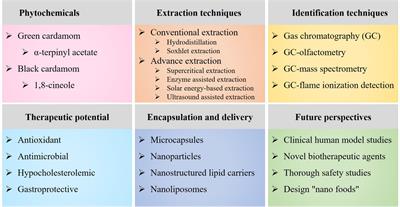 Recent advances in the extraction, chemical composition, therapeutic potential, and delivery of cardamom phytochemicals